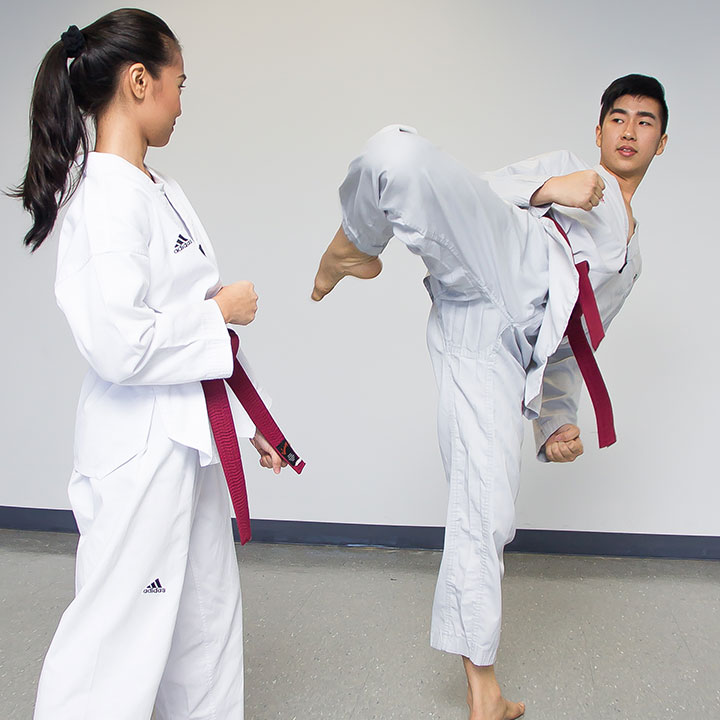 taekwondo-bg