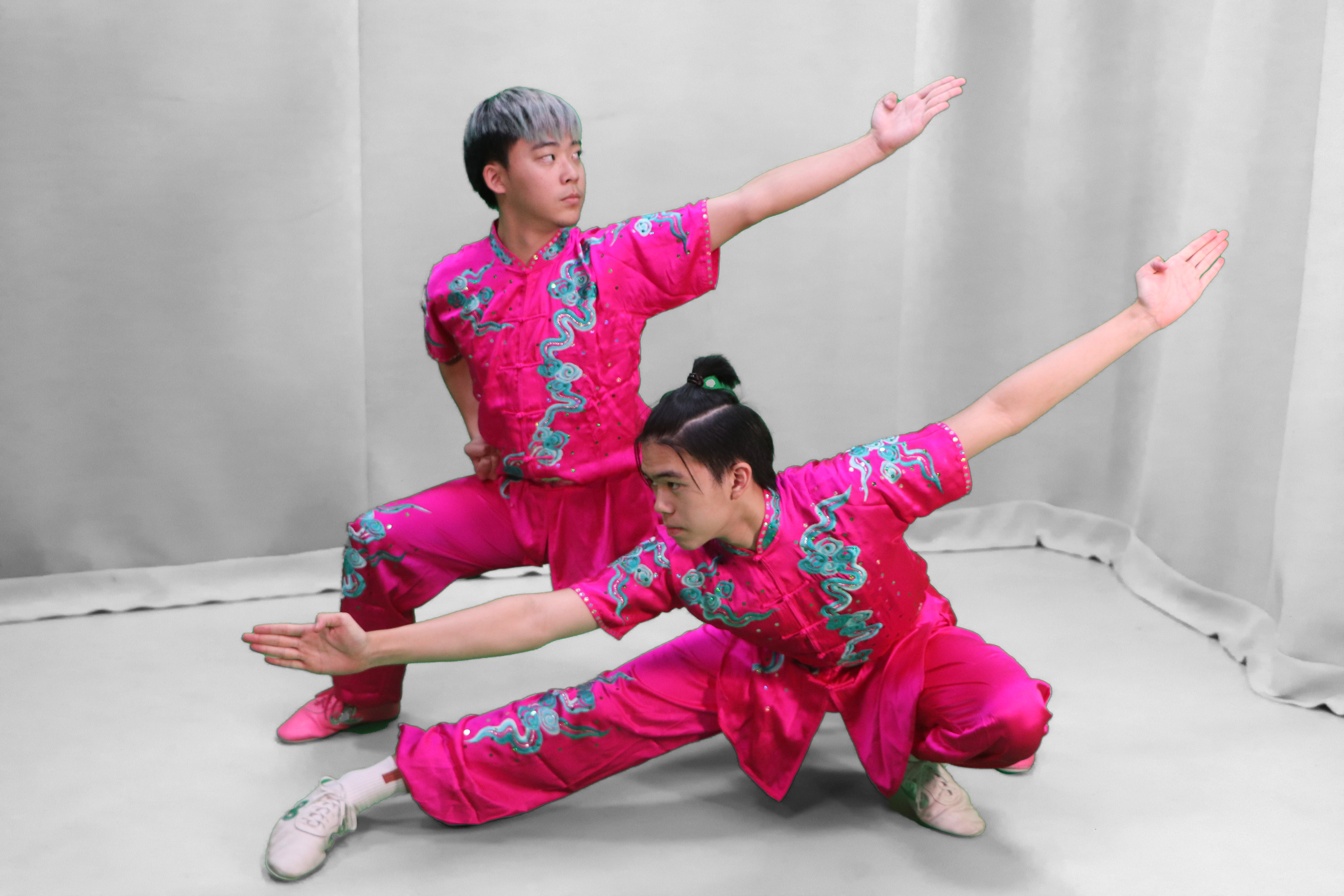Wushu
