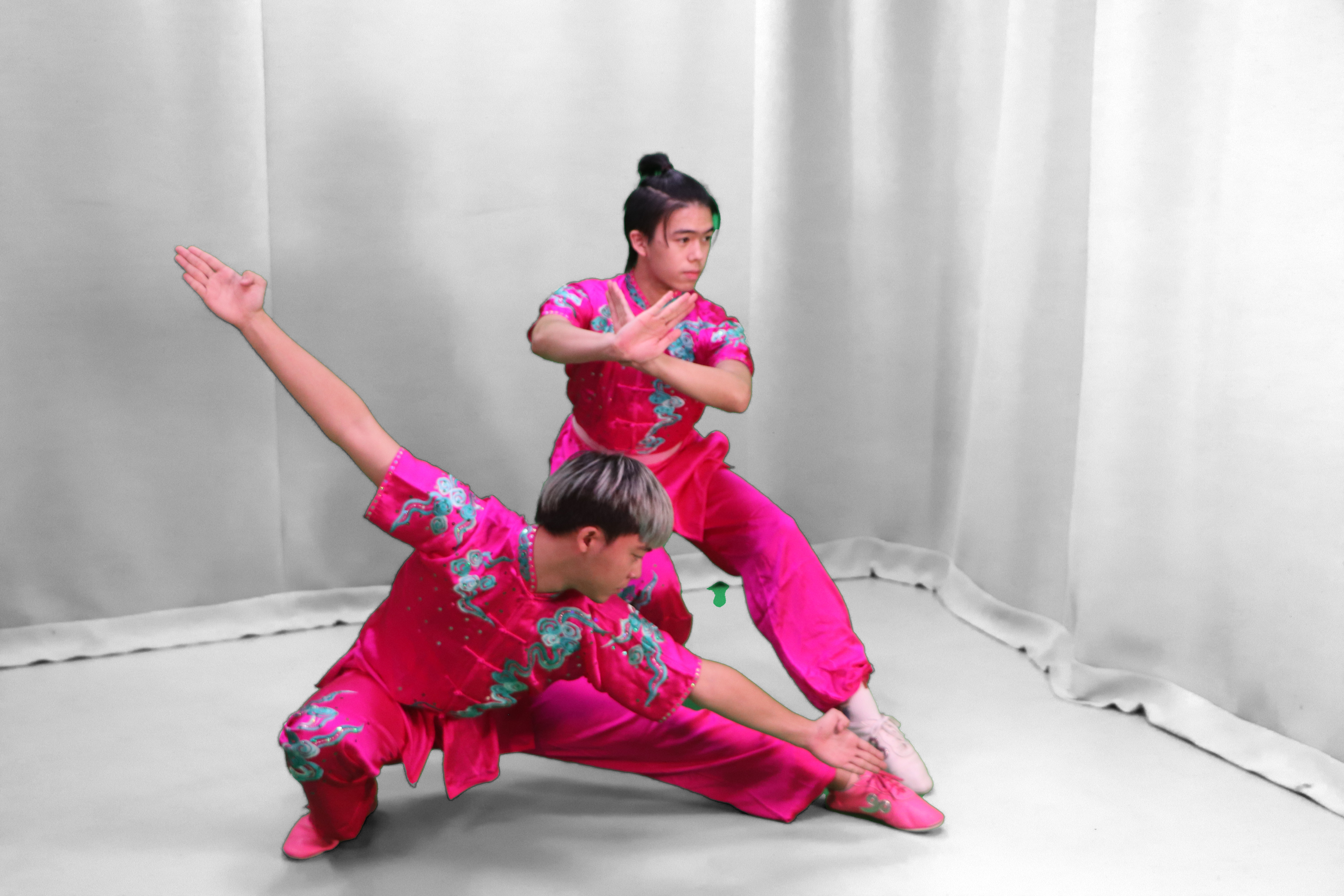 Wushu