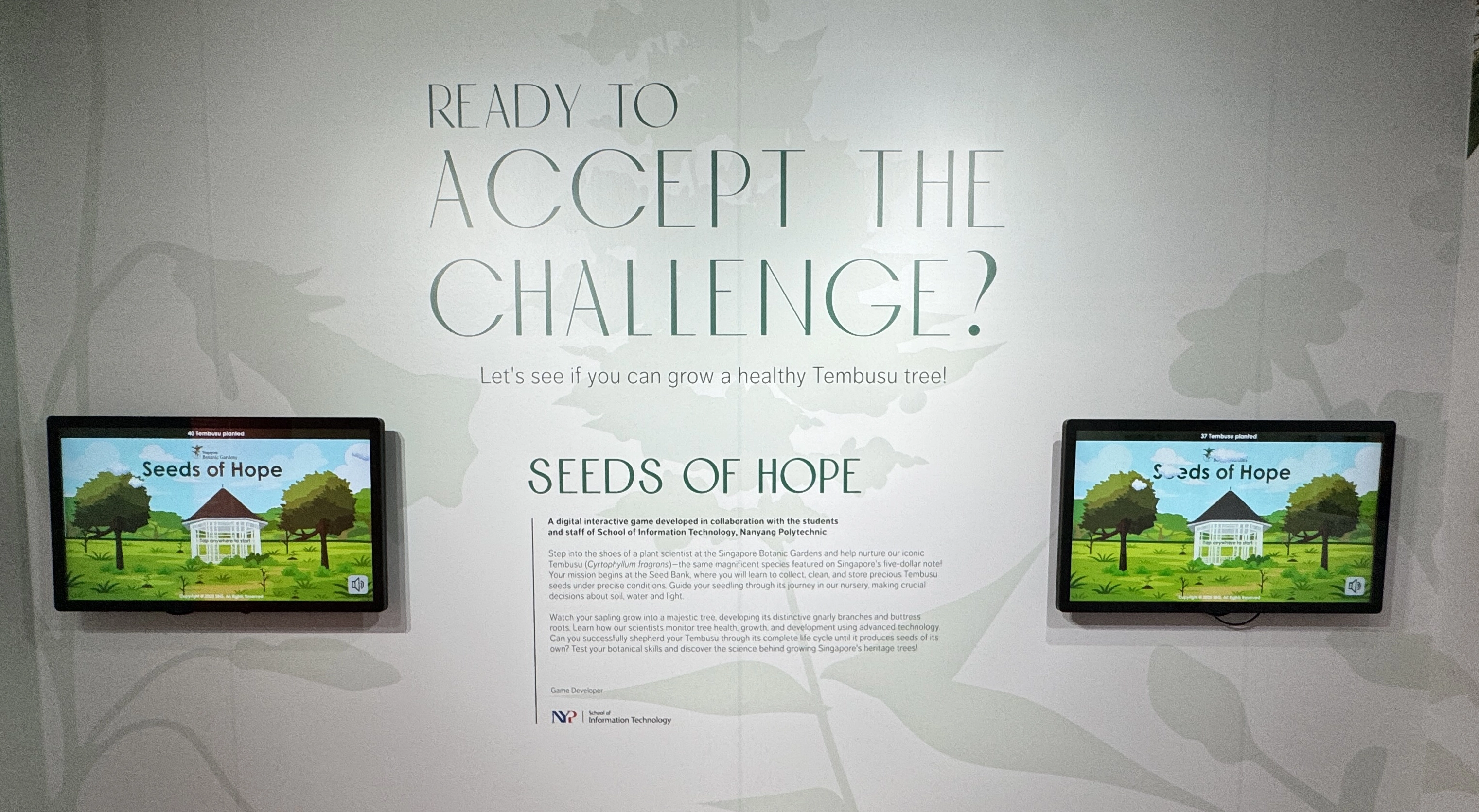 Seeds of Hope: NYP students grow game for Singapore Botanic Gardens’ UNESCO celebration