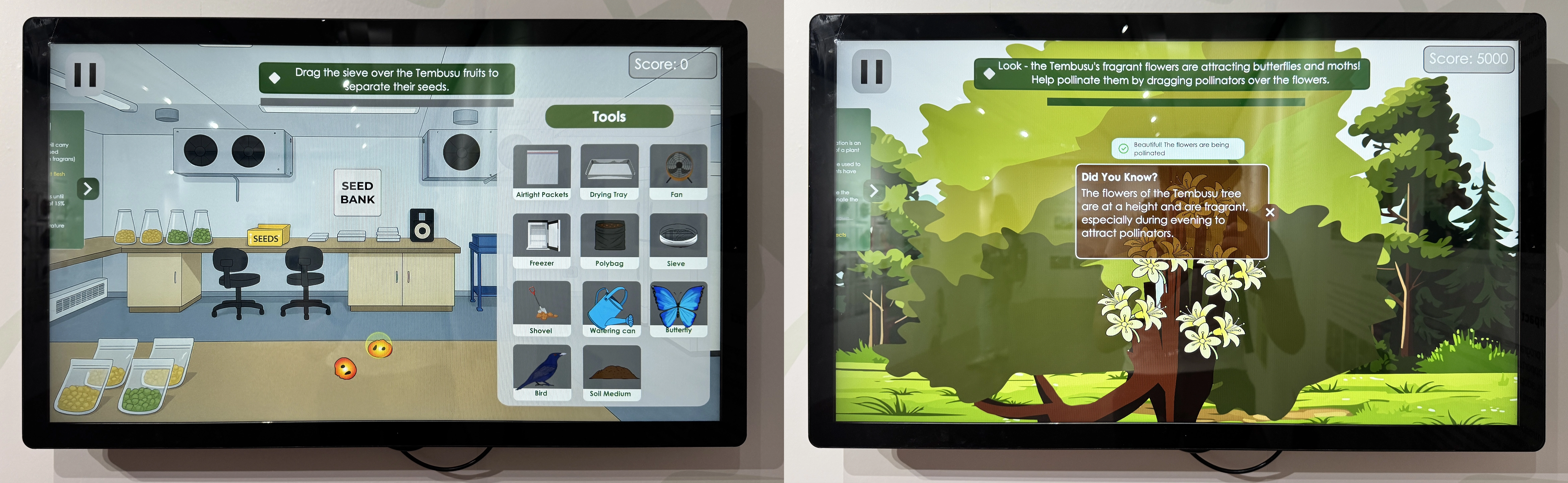 Game interfaces of the Interactive Game, Seeds of Hope - showing steps guiding the play to complete plant germination and pollination