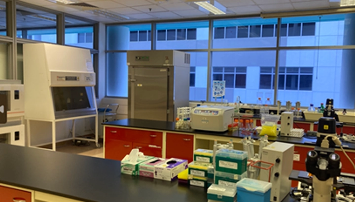 Cell Culture Lab