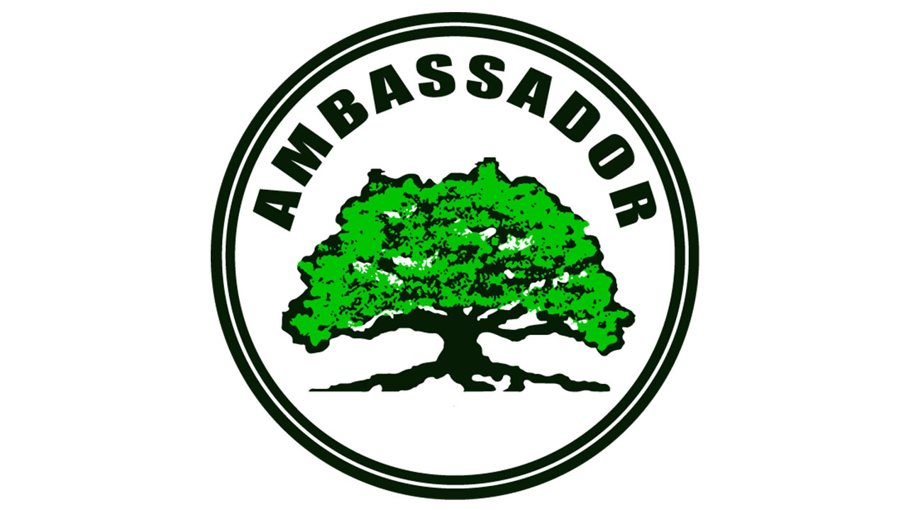  Ambassadorial Team (A Team)