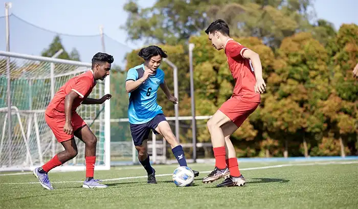 Soccer field